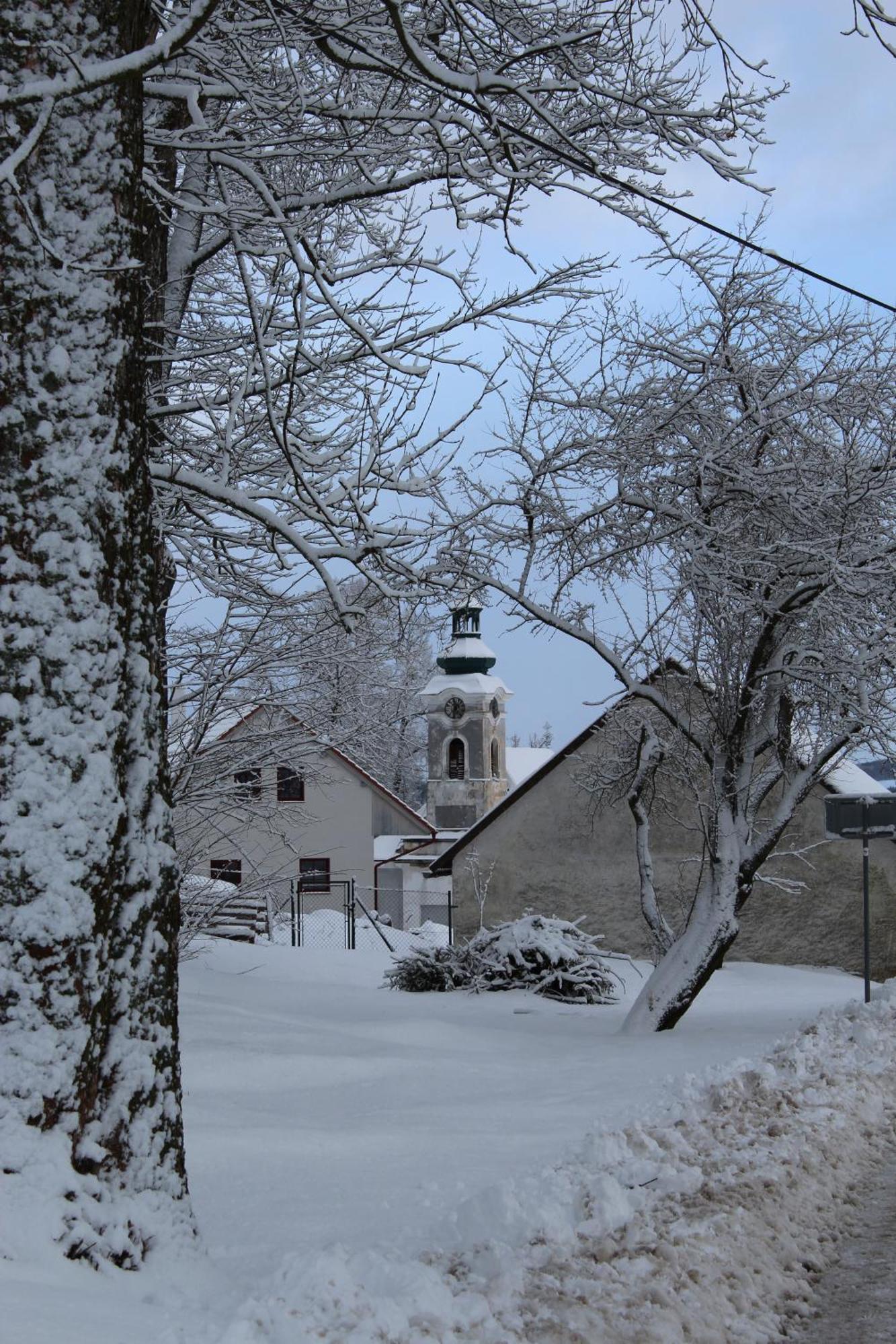 Horní Planá Ubytovani Praschlhaus מראה חיצוני תמונה