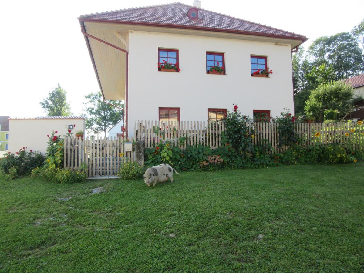 Horní Planá Ubytovani Praschlhaus מראה חיצוני תמונה